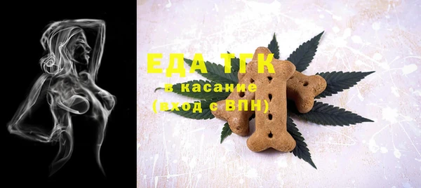 гашик Осинники