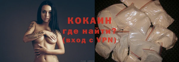амф Пестово