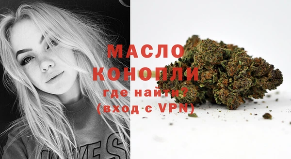 гашик Осинники