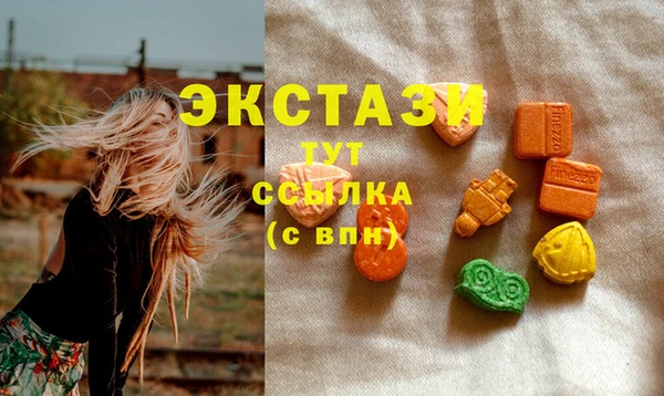 амф Пестово