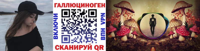 mega зеркало закладки Алзамай Галлюциногенные грибы Magic Shrooms